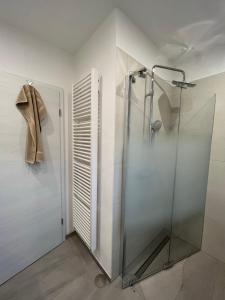 a shower with a glass door in a bathroom at Ferienweingut Wissing Wohnung Theo in Gleiszellen-Gleishorbach