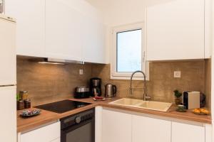 A kitchen or kitchenette at Blue Ark Comfort near Acropolis