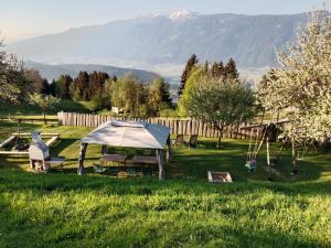 Galería fotográfica de Bergbauernhof Stauder - Hirschbergalpakas en Lendorf