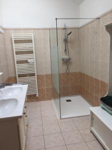 een badkamer met een douche en een wastafel bij Gite de la Boheraie in Chemazé