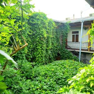 a house covered in bushes next to a building at Hotel Botanical in Samarkand