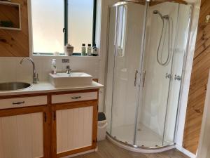 a bathroom with a shower and a sink at Winganah Cottage in Murdunna