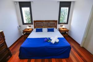 een slaapkamer met een blauw bed met 2 kussens erop bij Villa Girasol piscina climatizada Planet Costa Dorada in Vilafortuny