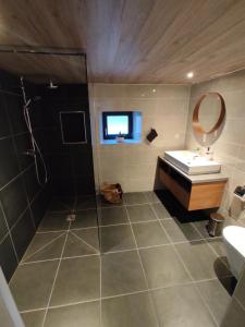 uma casa de banho com um lavatório, um chuveiro e um espelho. em Gîte des trois châteaux em Husseren-les-Châteaux