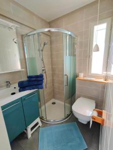 ein Bad mit einer Dusche, einem WC und einem Waschbecken in der Unterkunft MAS VALLCROSA Studio calme et confortable avec piscine in Camélas