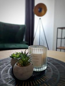 a table with a glass and a potted plant on it at Apartman Uno in Osijek