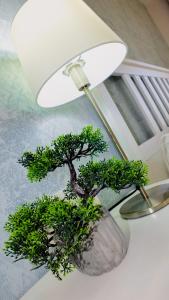 Fotografie z fotogalerie ubytování Harmony Apartments v destinaci Arona