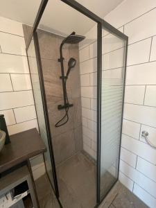 a shower with a glass door in a bathroom at Saale-Residenz in Unterwellenborn +15 photos
