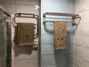 a bathroom with two towels hanging on a shower at Increíble Apto1º San Miguel-Centro-Catedral-Wifi-Parking in Granada