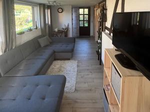 een woonkamer met een bank en een tv bij Luxury villa in Tinjan with private pool in Harzgerode