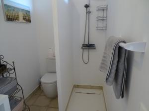 e bagno con servizi igienici e termoarredo. di Casa Margarita Charming Character Cottage in Bedar, Andalusia a Bédar