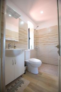 a bathroom with a toilet and a sink and a shower at The Mosaic House - Shtepia me Mozaik in Përmet