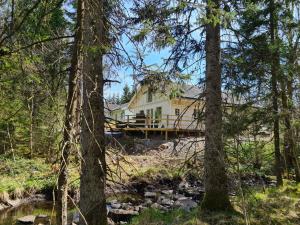 a house in the middle of the woods at Pinebo Palace Guesthouse in Ulricehamn