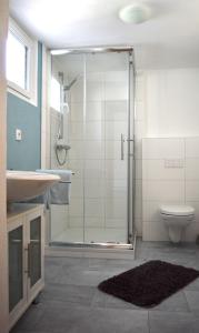 a bathroom with a shower and a sink and a toilet at Ferienwohnung Erz in Kinheim