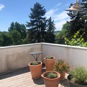 a deck with pots of plants and a table on it at Denis & Virginie - château à pied - parking gratuit in Versailles