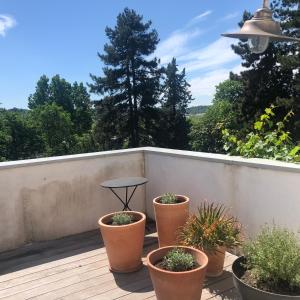 um deque com vasos de plantas e uma mesa sobre ele em Denis & Virginie - château à pied - parking gratuit em Versailles