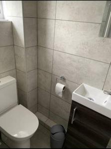 a bathroom with a white toilet and a sink at Basingstoke 1x Double bed and Sofa bed in Sherborne Saint John