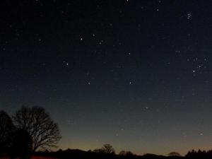a starry night with a tree in a field at Hotel Towadaso in Towada