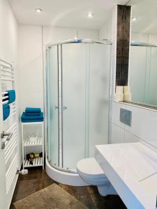 a bathroom with a shower and a toilet and a sink at KriDa Apartment in Garbsen