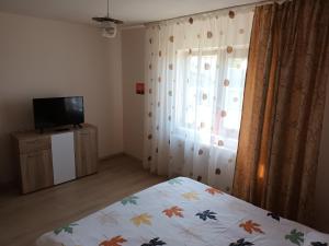 1 dormitorio con 1 cama, TV y ventana en Casa Body_Adda en Corbu