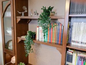 a book shelf with books and plants on it at Appartamento Dario Campana 74 - Affitti Brevi Italia in Rimini