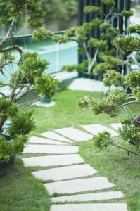 闲事别馆外面的花园