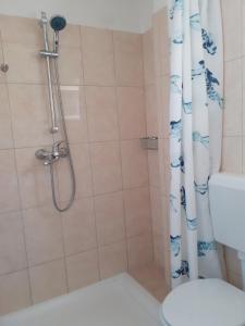 a bathroom with a shower with a toilet and a shower curtain at Apartment Zlata in Rab
