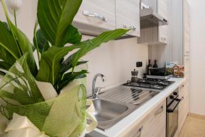 une cuisine avec un évier et une plante dans l'établissement Corner Cavour Apartment, à Sassari