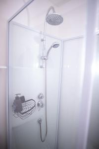 een douche met een glazen deur in de badkamer bij Charmant Studio au coeur de Jaurès in Belfort