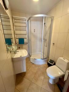 a bathroom with a shower and a toilet and a sink at Apartament Słoneczny Willa Perla 100m od morza in Gdańsk