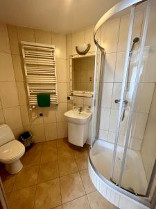 a bathroom with a shower and a toilet and a sink at Apartament Bursztyn, Willa Perla nad morzem in Gdańsk