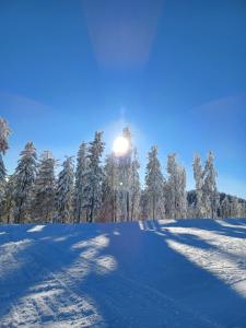 Fotografia z galérie ubytovania Almliesl BHOF-676 v destinácii Bischofshofen