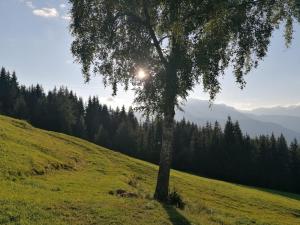 Fotografia z galérie ubytovania Almliesl BHOF-676 v destinácii Bischofshofen