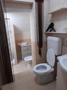 a bathroom with a toilet and a sink at Domus Rosaliae - Casa Vacanze in Palermo