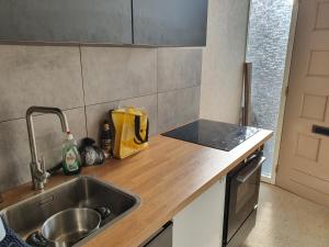 a kitchen with a sink and a counter top at Stal Nieuwland in Vierpolders