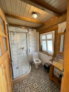 een badkamer met een douche, een toilet en een wastafel bij MotoMotel-Myczkowianka Sadyba in Myczkowce