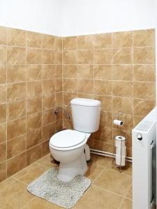 a bathroom with a toilet and a tiled wall at Family Apartman Szádelő - Zádiel in Zádiel