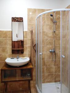 a bathroom with a sink and a shower at Family Apartman Szádelő - Zádiel in Zádiel