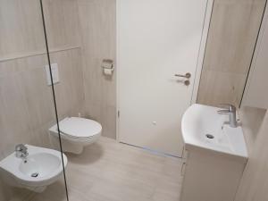a bathroom with a toilet and a sink at DALGONA apartma Godler, Podčetrtek in Podčetrtek +8 photos
