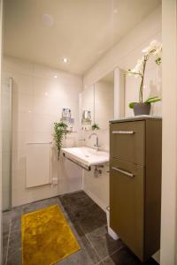 a bathroom with a sink and a mirror and a sink at Unique Courtyard House with Sauna in Alkmaar city center in Alkmaar