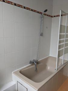 W łazience znajduje się umywalka i prysznic. w obiekcie Appart'Huy w mieście Huy