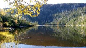 Paesaggio naturale nelle vicinanze dell'appartamento