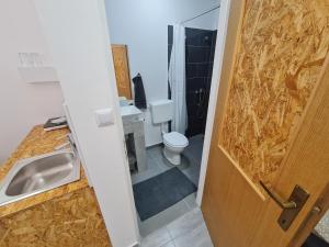 ein kleines Badezimmer mit Waschbecken und Toilette in der Unterkunft Budget Apartment LeLo Centar2 in Osijek