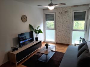 a living room with a couch and a tv at Apartamentos Parke24 - San Sebastian in Rentería