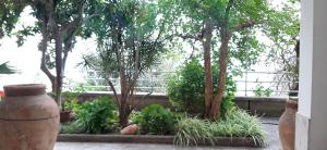 Vonkajšia záhrada v ubytovaní Colazione in giardino con vista mare