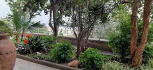 Vonkajšia záhrada v ubytovaní Colazione in giardino con vista mare