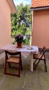 a table and chairs with a potted plant on a patio at B&B GENOVA COUNTRY in Fegino