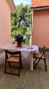 una mesa y sillas con una maceta en un patio en B&B GENOVA COUNTRY, en Fegino