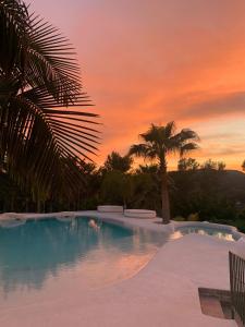 a swimming pool with a palm tree and a sunset at Petit Mirador in Torrelles de Llobregat