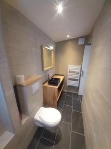a bathroom with a toilet and a sink at Une petite maison et sa prairie in Villefargeau +7 photos